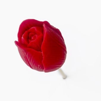 3D Closed rose on lolly