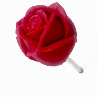 3D Rose on lolly