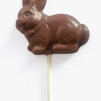 Hopping bunny lolly