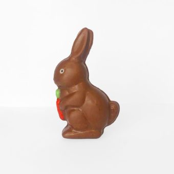 Carrot bunny