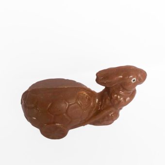 Racing bunny