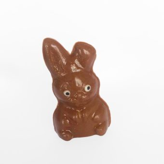 Sitting bunny