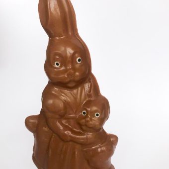 Mother and baby bunny