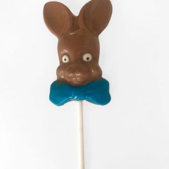 Big ears bunny on lolly